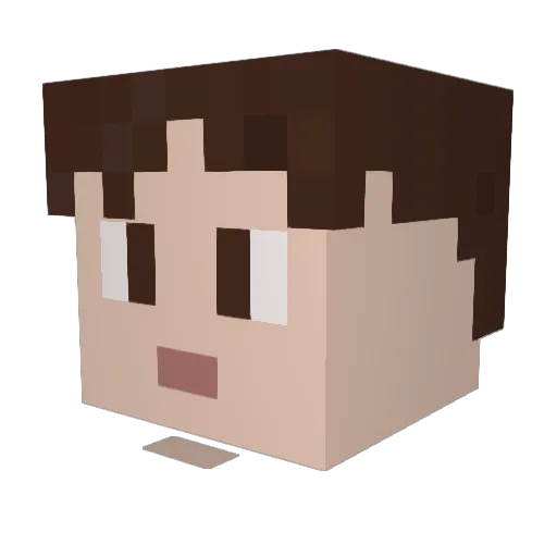 Acionn Minecraft avatar head, 3D render