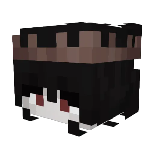 Acitern Minecraft avatar head, 3D render