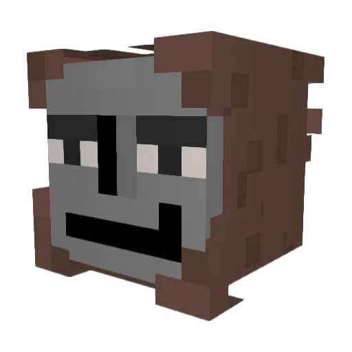 Ackkoo Minecraft avatar head, 3D render