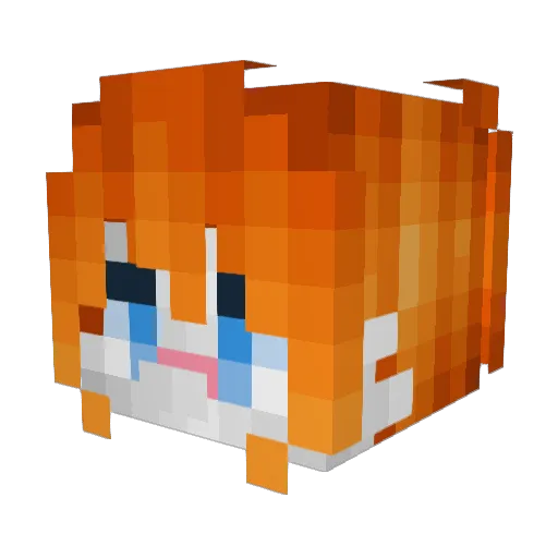Acm240 Minecraft avatar head, 3D render