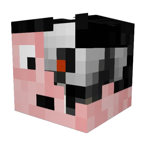 AcmeMovieStore Minecraft avatar head, 3D render