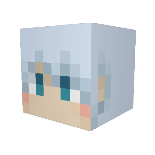 Acnel Minecraft avatar head, 3D render