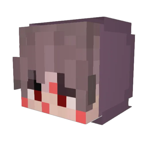 Acni Minecraft avatar head, 3D render