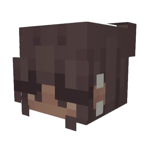 Aco0202 Minecraft avatar head, 3D render