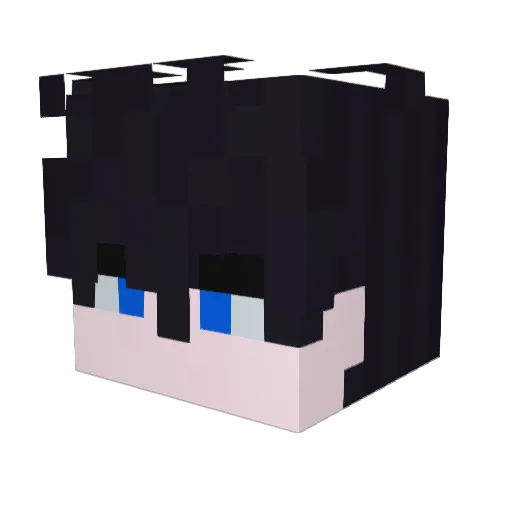 Acocu Minecraft avatar head, 3D render