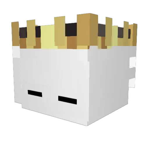 Acof Minecraft avatar head, 3D render