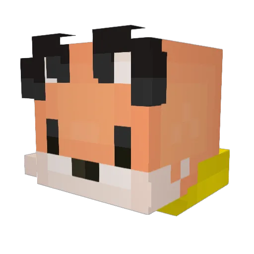 AcolombianBoy Minecraft avatar head, 3D render