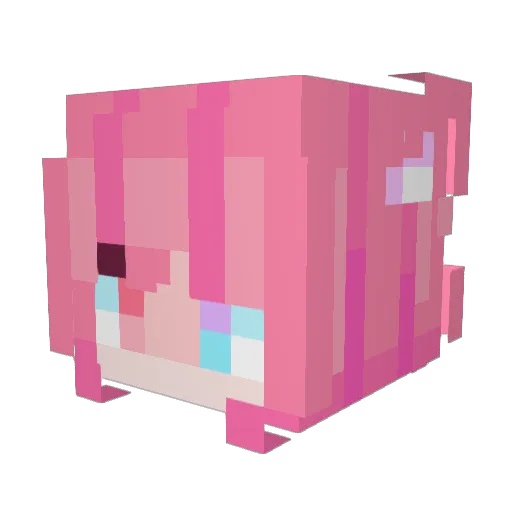 Acommpany Minecraft avatar head, 3D render