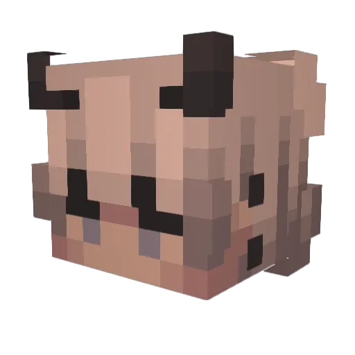 Acondite Minecraft avatar head, 3D render