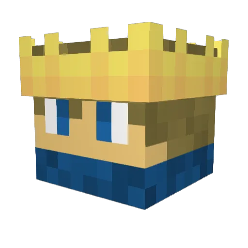 Aconforlife Minecraft avatar head, 3D render