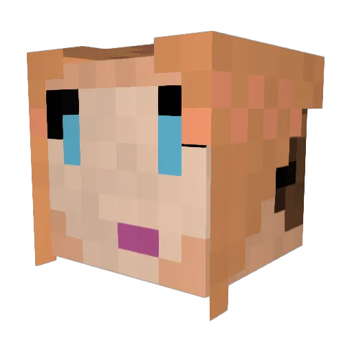 Aconity Minecraft avatar head, 3D render