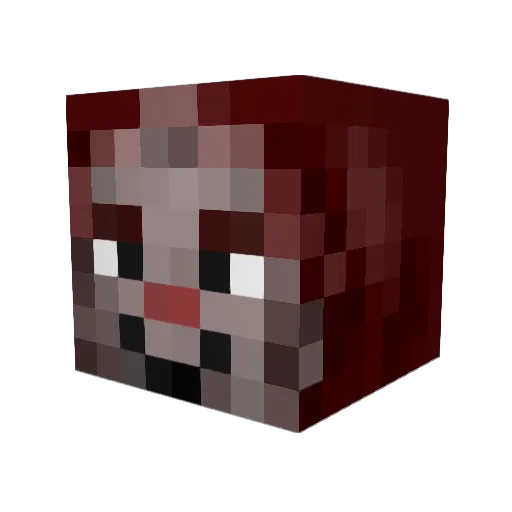 Acorlei Minecraft avatar head, 3D render