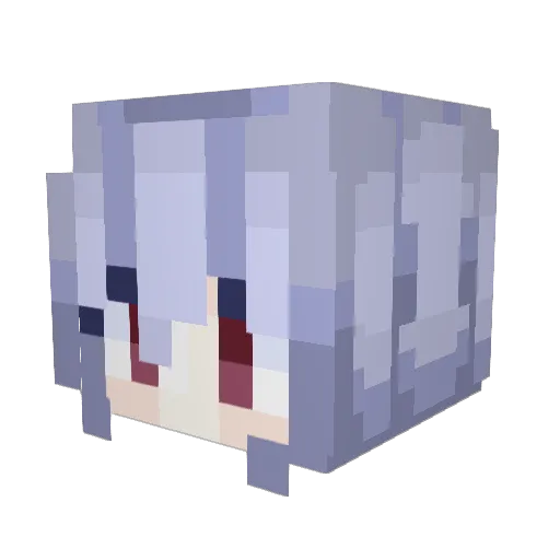 Acorn1217 Minecraft avatar head, 3D render