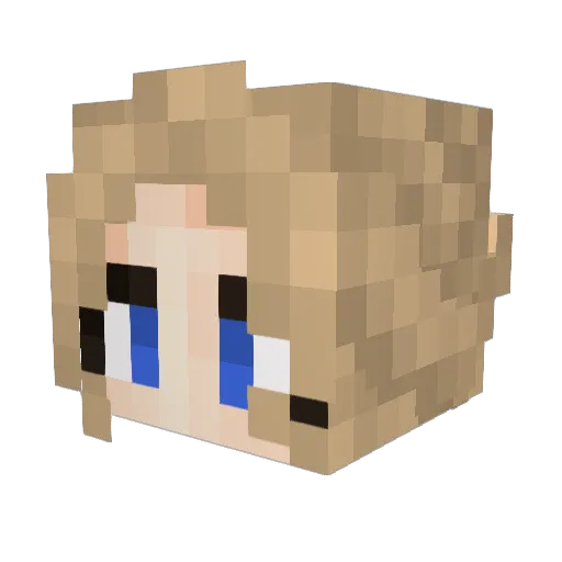 AcornSF Minecraft avatar head, 3D render