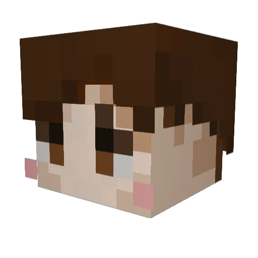Acorn_999 Minecraft avatar head, 3D render