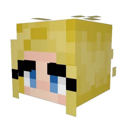 Acorn_Woman Minecraft avatar head, 3D render