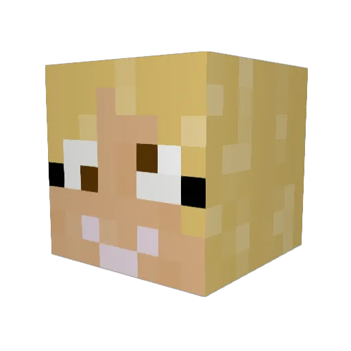 Acorus_ Minecraft avatar head, 3D render