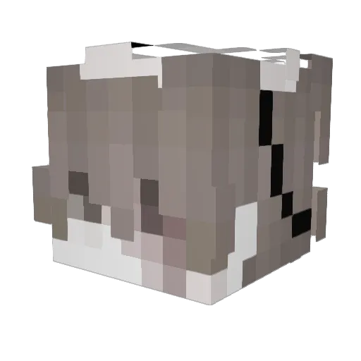 Acoso Minecraft avatar head, 3D render