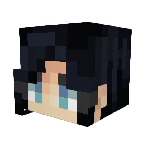 Acosta115 Minecraft avatar head, 3D render