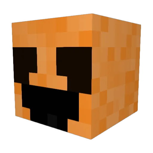 AcousticBee2757 Minecraft avatar head, 3D render
