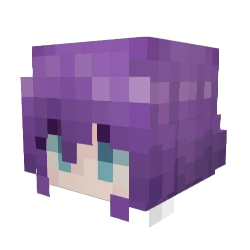 Acpalm_D Minecraft avatar head, 3D render