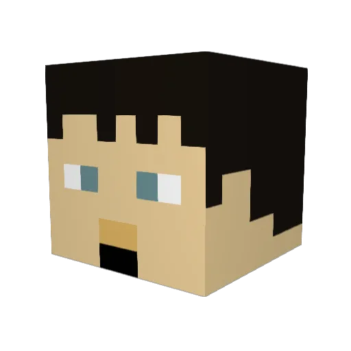 AcquireGuitars Minecraft avatar head, 3D render