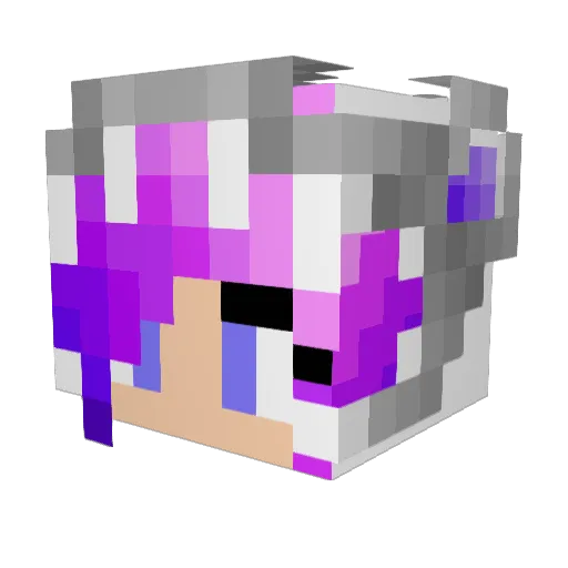 AcquiredAlli Minecraft avatar head, 3D render