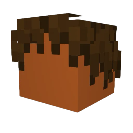 Acreh Minecraft avatar head, 3D render