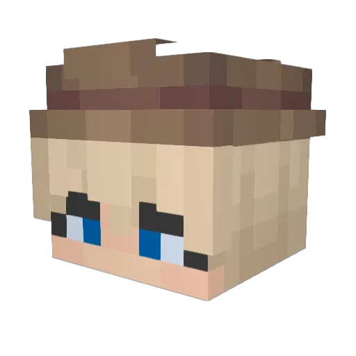 Acres_ Minecraft avatar head, 3D render