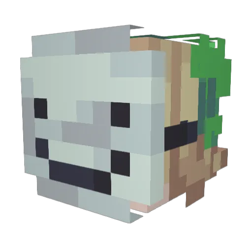 Acrift Minecraft avatar head, 3D render
