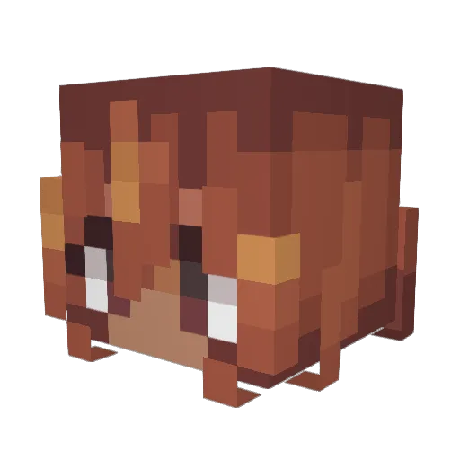 Acrimonial Minecraft avatar head, 3D render