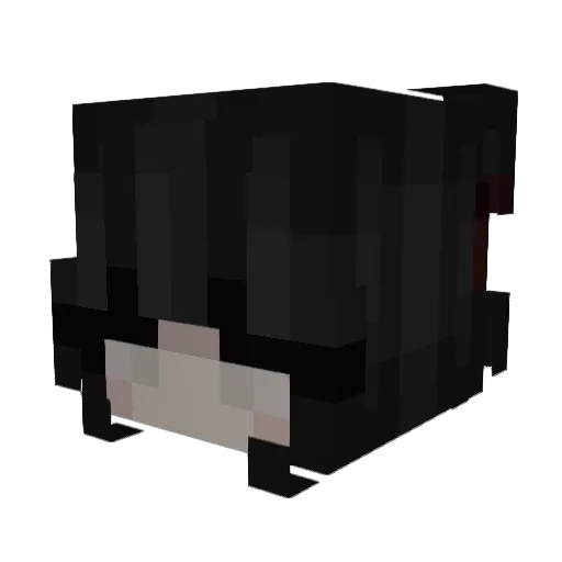Acritia Minecraft avatar head, 3D render