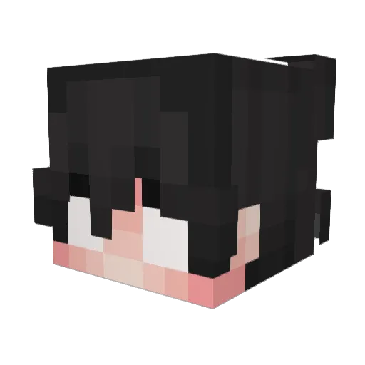 AcroAdmz Minecraft avatar head, 3D render
