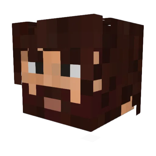 AcroPKM Minecraft avatar head, 3D render