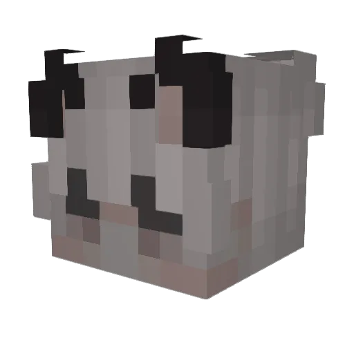 Acrohh Minecraft avatar head, 3D render