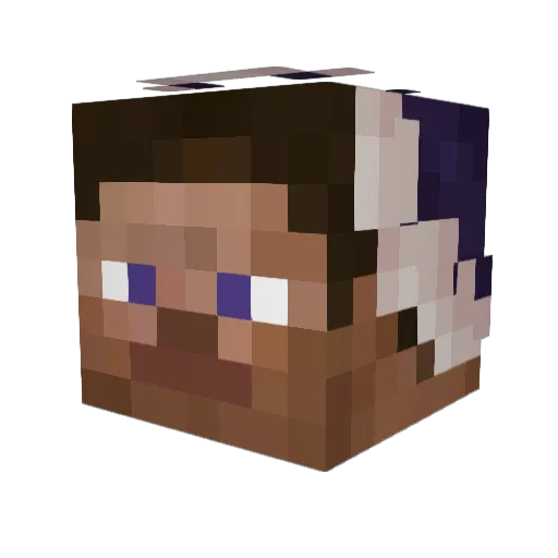 Acrostivixd Minecraft avatar head, 3D render