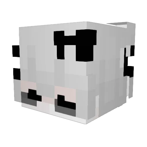 AcrylicPlayz871 Minecraft avatar head, 3D render