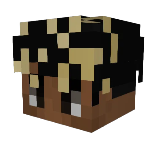 Acsel77 Minecraft avatar head, 3D render