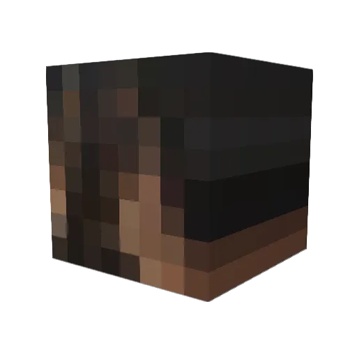 Actable Minecraft avatar head, 3D render
