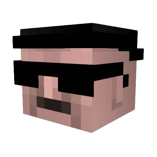 Acting_Penguin_1 Minecraft avatar head, 3D render