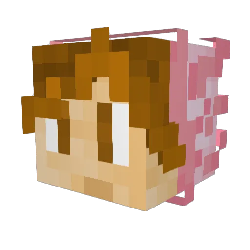 ActionFire_ Minecraft avatar head, 3D render