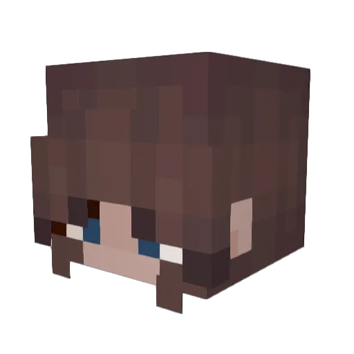 Actual_Ocean Minecraft avatar head, 3D render