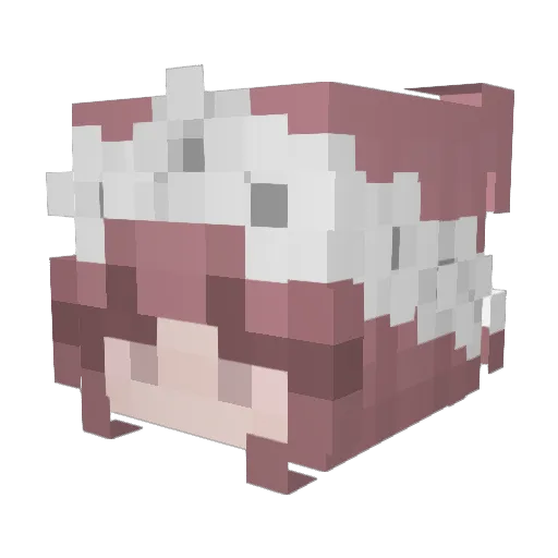 ActuallyChloe Minecraft avatar head, 3D render