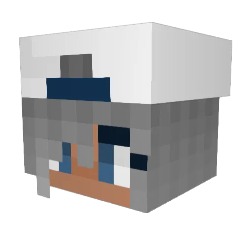ActuallyDungeon Minecraft avatar head, 3D render