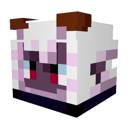 ActuallyKiranon Minecraft avatar head, 3D render