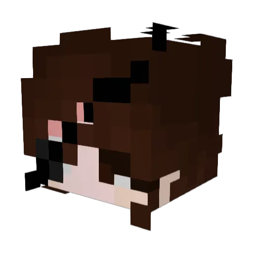 ActuallyOrin Minecraft avatar head, 3D render