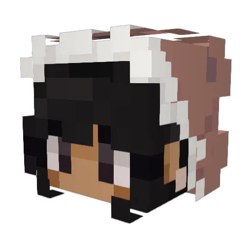 Acudo Minecraft avatar head, 3D render