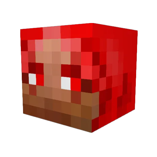Acuila Minecraft avatar head, 3D render