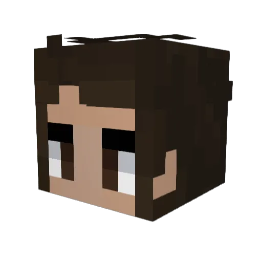 AcurateDiagram2 Minecraft avatar head, 3D render
