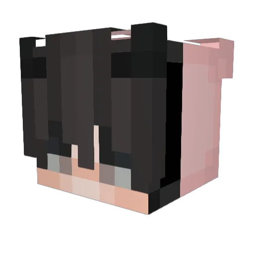 Acusado Minecraft avatar head, 3D render